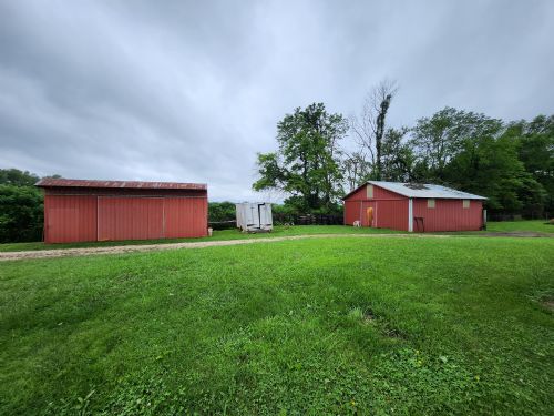 Lewis Auction